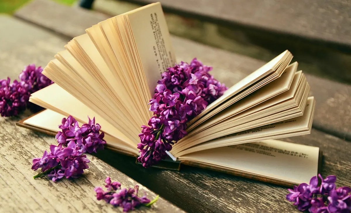 Book Blurb vs Synopsis: What's the Difference and When to Use Each